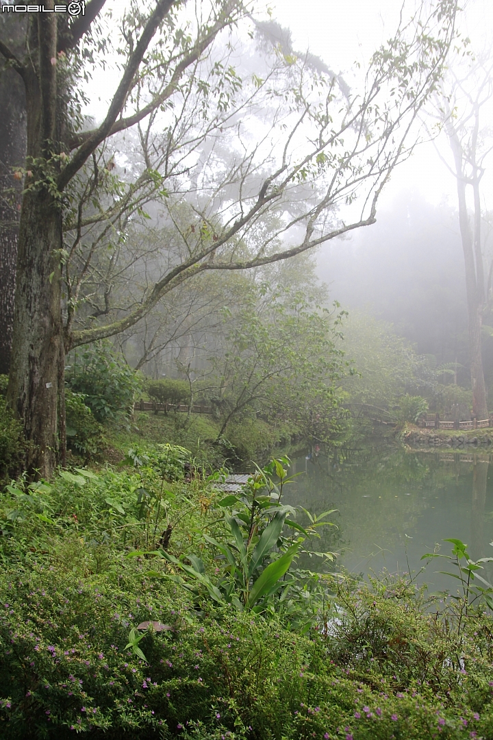 溪頭大學池全景圖   (使用PS 自動Photomerge...將五張合成一張)