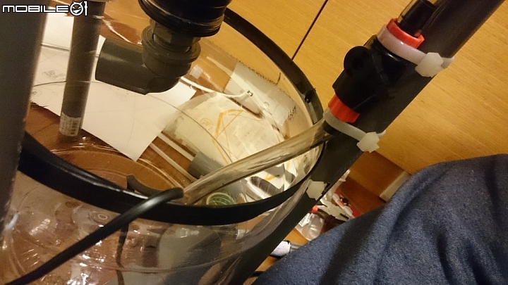 蒸餾水瓶 DIY 迷你魚菜共生系統 Mini Aquaponics