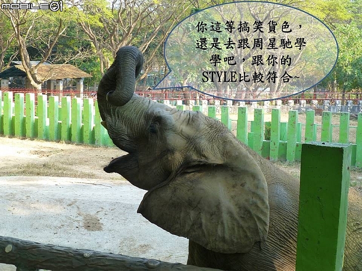 壽山動物園奇遇記