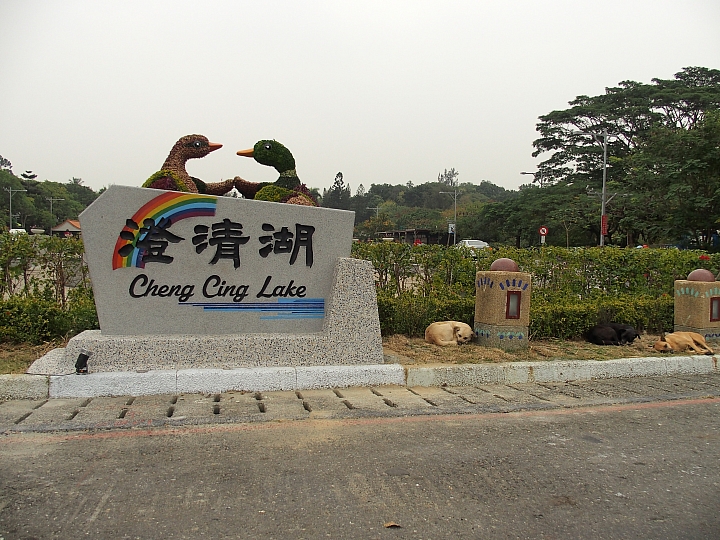 帶爸媽長庚健檢，等待時刻到旁邊鳥松濕地平靜一上午。