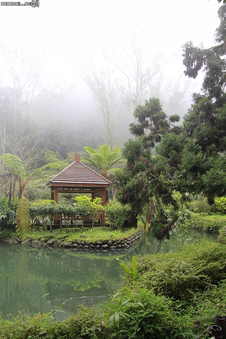 溪頭大學池全景圖   (使用PS 自動Photomerge...將五張合成一張)