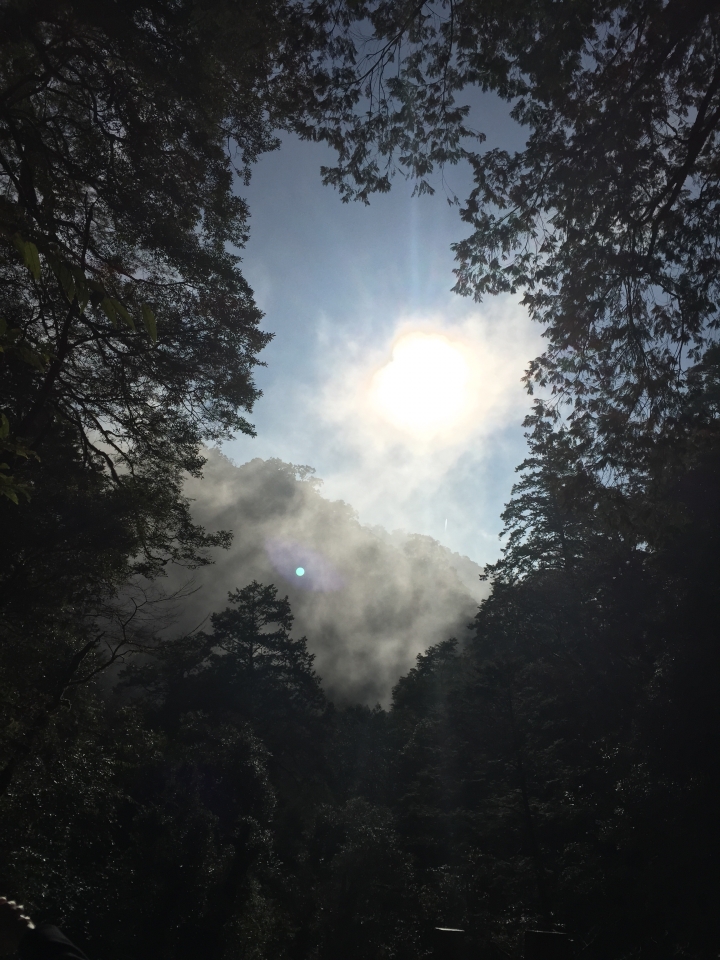 好友默契出遊去試駕體驗-Focus 1.6 拉拉山之旅