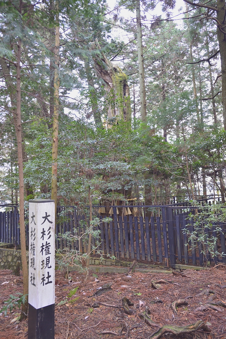 2015京阪奈之旅