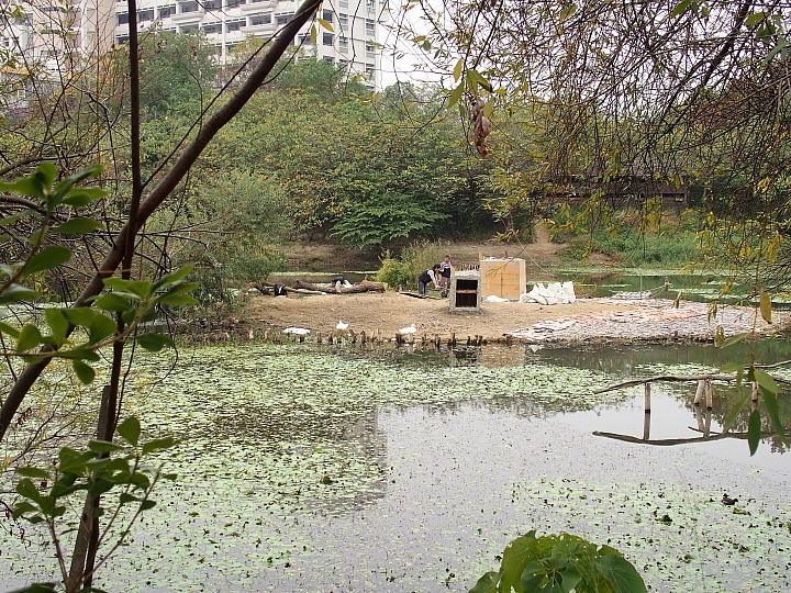 帶爸媽長庚健檢，等待時刻到旁邊鳥松濕地平靜一上午。
