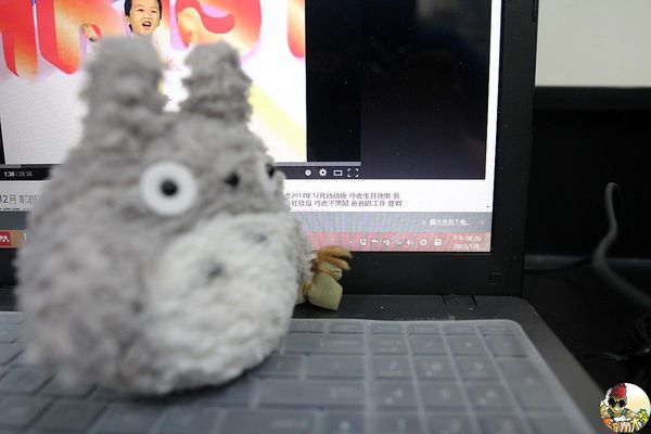 [開箱文] APC Back-UPS 1100 小黑不斷電系統