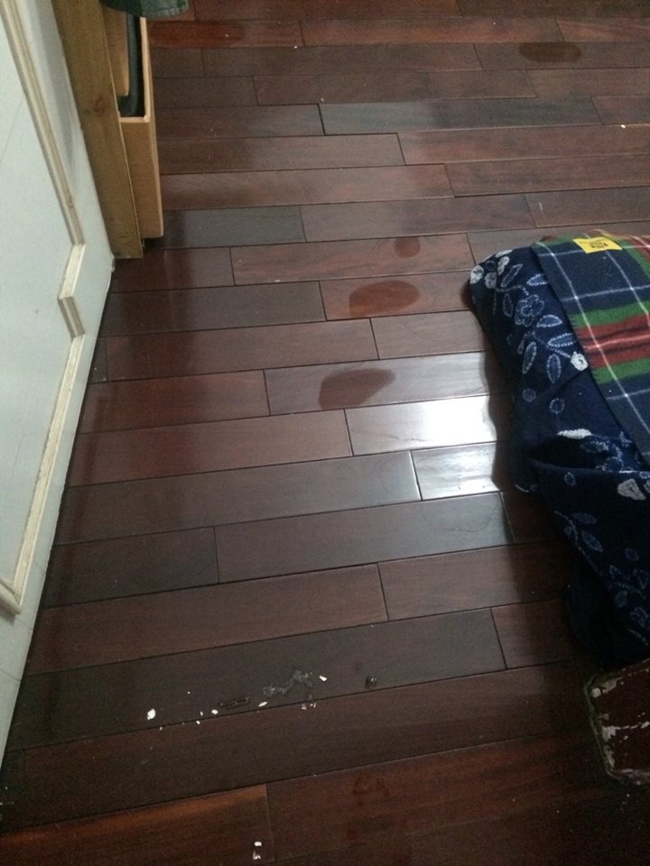 公寓清洗水塔造成的屋內淹水