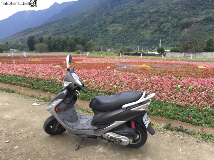SR & 我們一起去看清水斷厓日出好嗎 ?