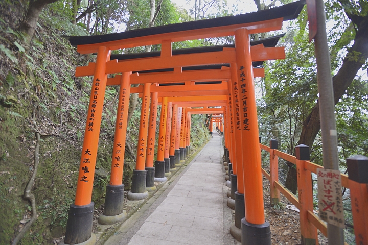 2015京阪奈之旅