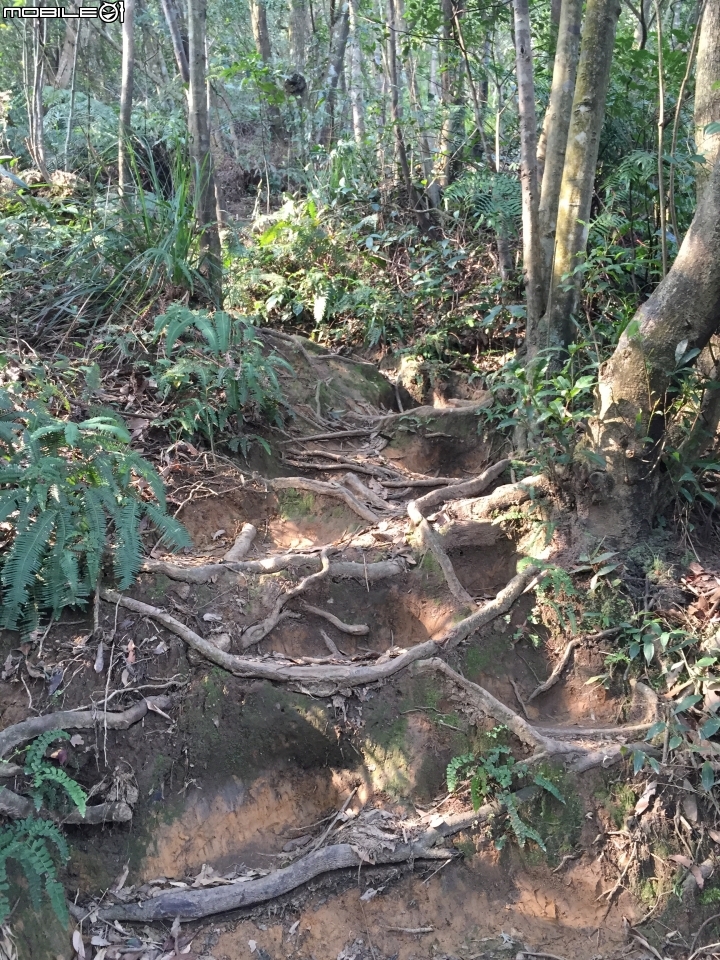 蠢蠢的誤登了新山⋯⋯