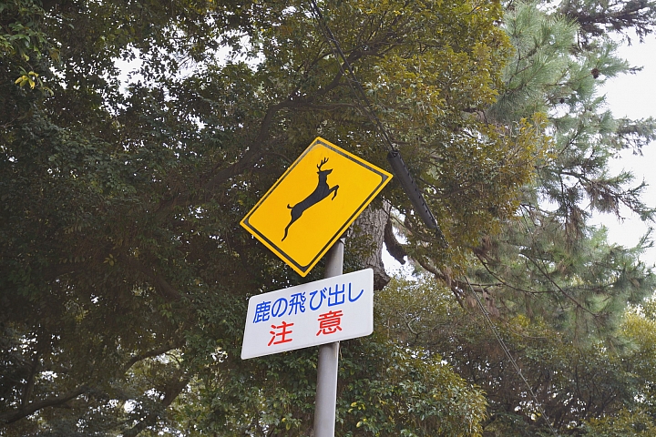 2015京阪奈之旅