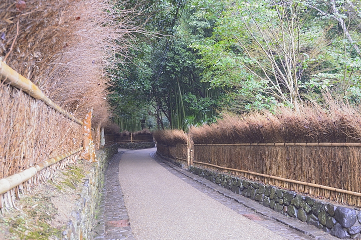 2015京阪奈之旅