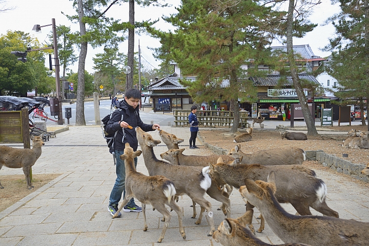 2015京阪奈之旅