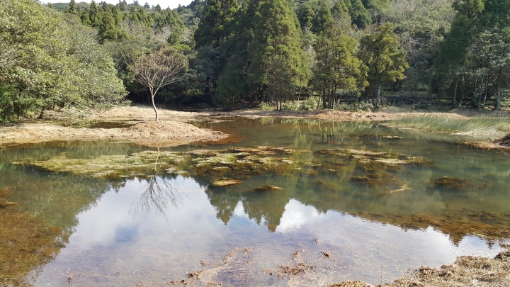 邊爬山邊玩邊照相，剛入手的note4