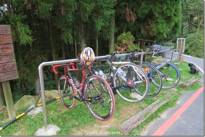 【新北．三峽】遠離台北城市喧囂的首選景點 - 熊空茶園 (毛小孩可入園)