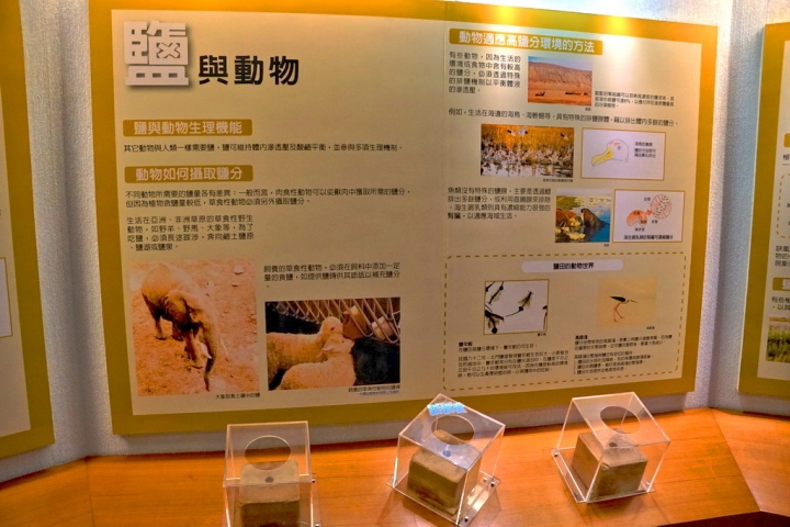 [七股區] 七股鹽山&鹽博館 feat. 巨大招財貓
