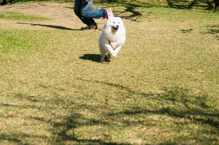 柳家梅園賞梅如夢似幻