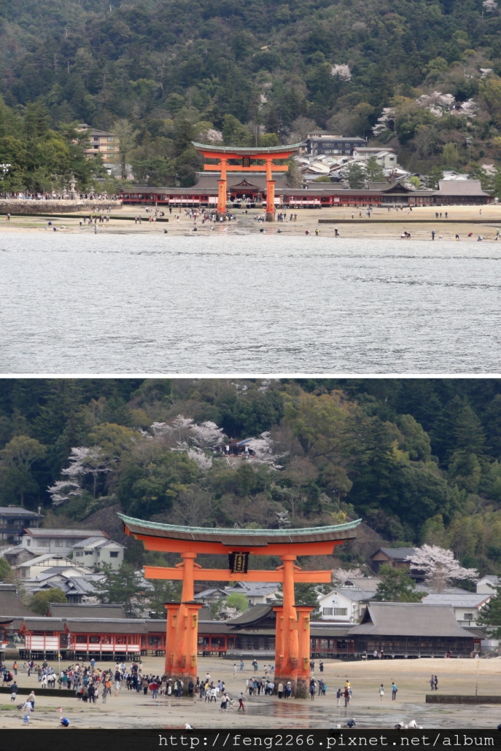 (日本廣島) 食廣島名產,遊世界遺產