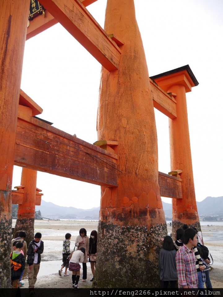 (日本廣島) 食廣島名產,遊世界遺產