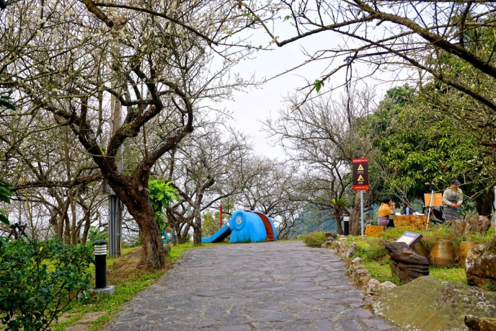 [楠西區] 福來梅仔雞 梅嶺店