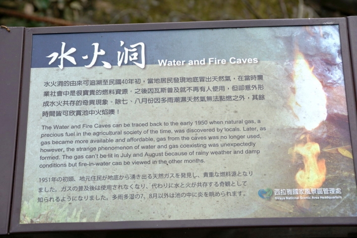 [楠西區] 福來梅仔雞 梅嶺店