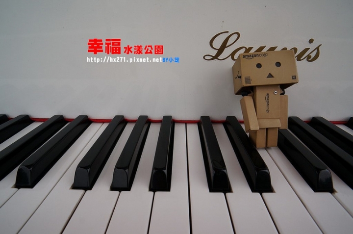 【台北景點】2015.1.17花況三重幸福水漾公園(大台北都會公園) 攝影師別來！快門停不下來～油菜花、波斯菊賞花願望一次滿足～