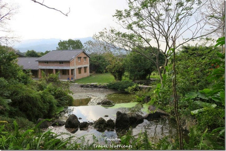 【新北．新店】在文山農場烤肉露營、草地跑跳、漫步茶園  (毛小孩可以入園)