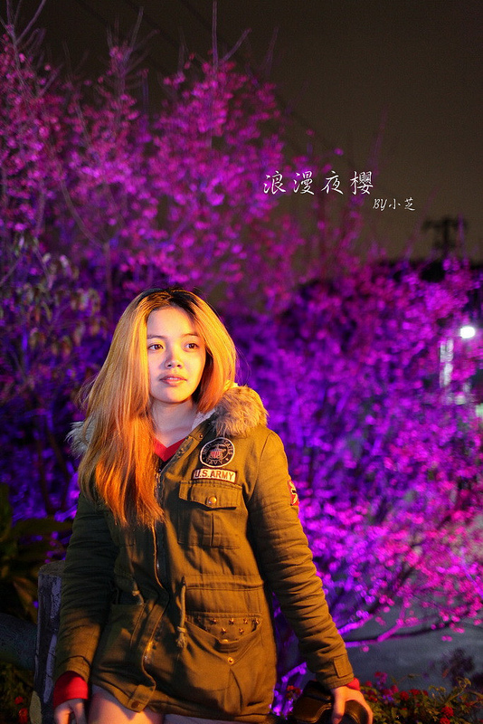 【2015台北賞櫻地圖】景點~北投復興三路賞夜櫻~迷人山櫻花隧道上方吳祀宗祠台北夜景交通攻略