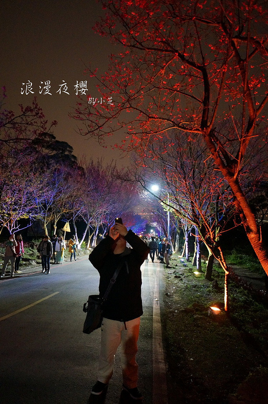 【2015台北賞櫻地圖】景點~北投復興三路賞夜櫻~迷人山櫻花隧道上方吳祀宗祠台北夜景交通攻略