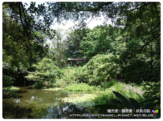 台北3天2夜就愛醬玩 ♥ 陽明山▸北投▸士林▸親子景點玩不完