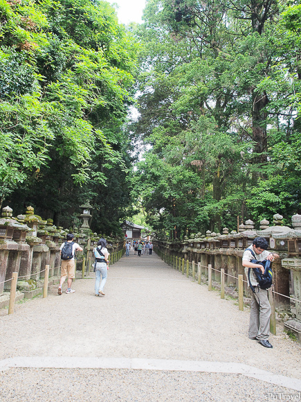 [日本 奈良] 山林間的美景+餵食反被追的"鹿頂記"─春日大社、手向山八幡宮、夫婦大國社