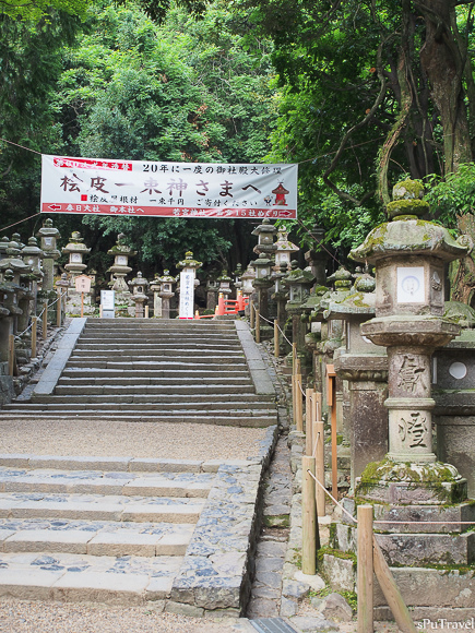 [日本 奈良] 山林間的美景+餵食反被追的"鹿頂記"─春日大社、手向山八幡宮、夫婦大國社