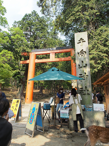 [日本 奈良] 山林間的美景+餵食反被追的"鹿頂記"─春日大社、手向山八幡宮、夫婦大國社