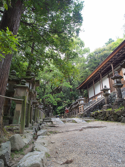 [日本 奈良] 山林間的美景+餵食反被追的"鹿頂記"─春日大社、手向山八幡宮、夫婦大國社