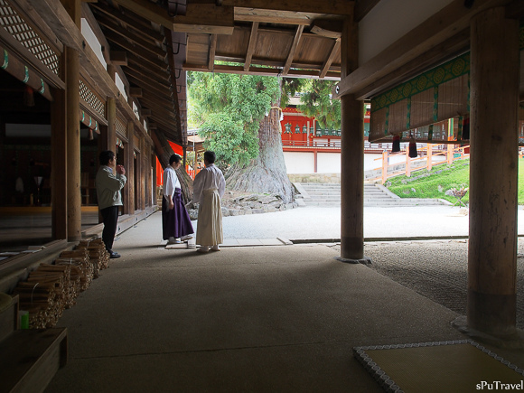 [日本 奈良] 山林間的美景+餵食反被追的"鹿頂記"─春日大社、手向山八幡宮、夫婦大國社