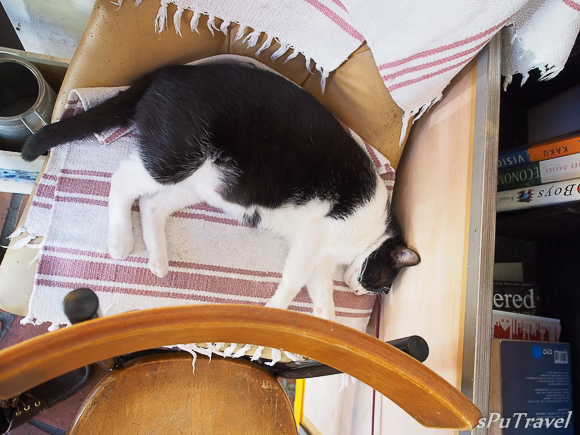 [食記] sPu@ 台北大安區 師大夜市中西美食─忘不了的祖母蛋捲..超美味Omelet~