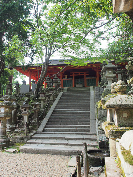 [日本 奈良] 山林間的美景+餵食反被追的"鹿頂記"─春日大社、手向山八幡宮、夫婦大國社