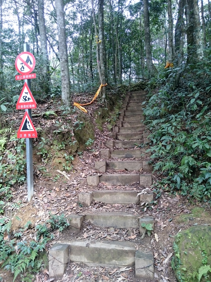 水田林道支線   北得拉曼登山口