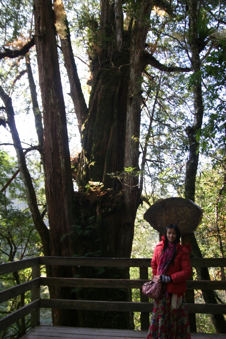 Ford好友默契出遊去 at 北橫、拉拉山