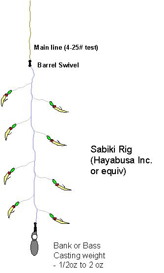 Sabeki 釣到 土魠魚 !!!
