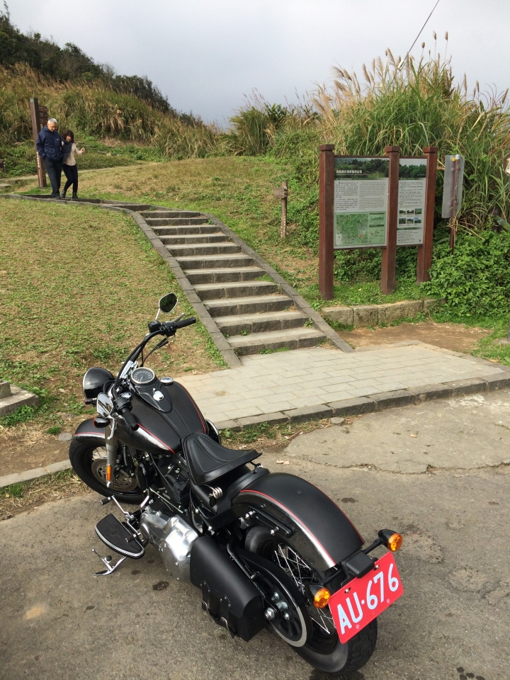 [分享] Harley-Davidson Softail Slim