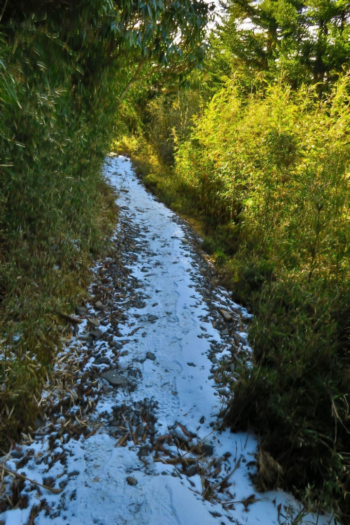 2015雪山
