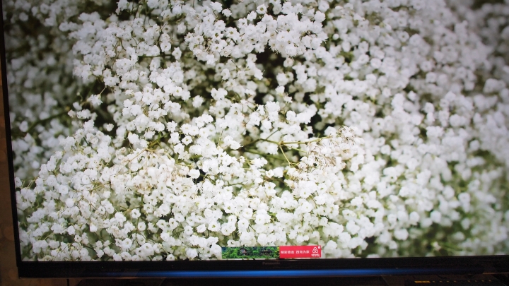 國際AX900日規開箱分享