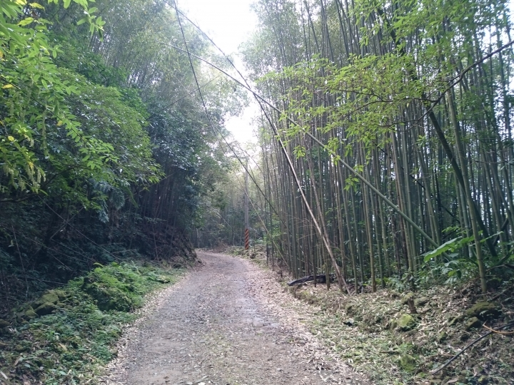 水田林道支線   北得拉曼登山口