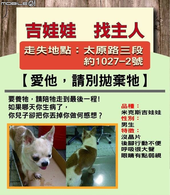 撿到的混種吉娃娃徵中途或是想收留牠的人....104/02/14將送至流浪動物之家