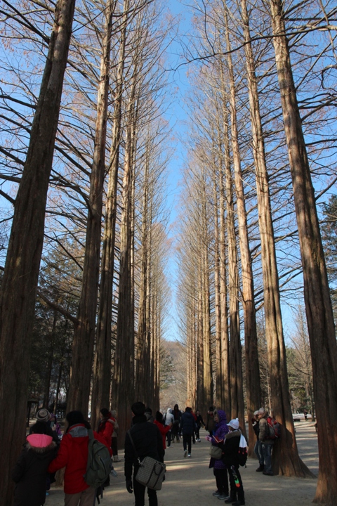 玩 瘋 韓 國 賞 雪 五 日 遊 ( 第 一、二 日 )