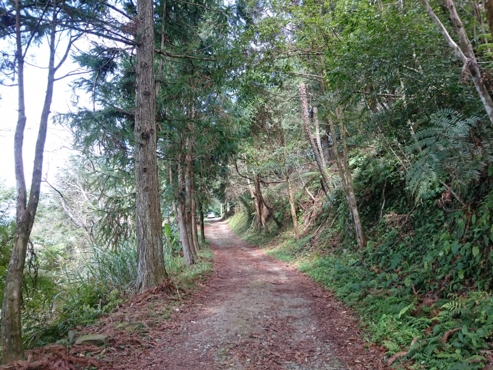 水田林道支線   北得拉曼登山口