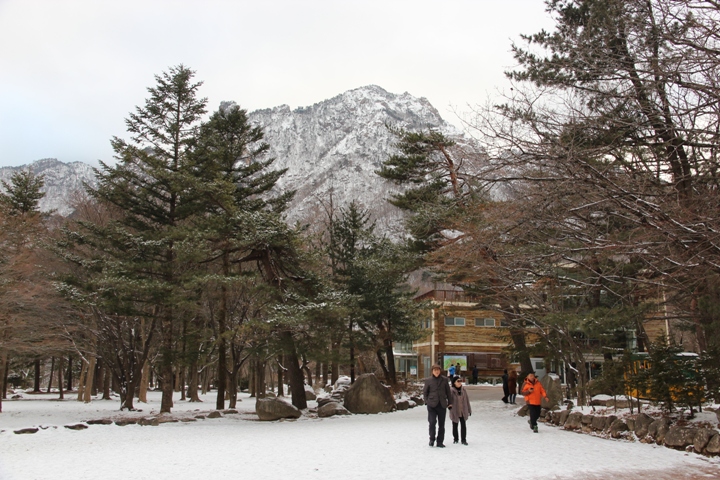 玩 瘋 韓 國 賞 雪 五 日 遊 ( 第 一、二 日 )
