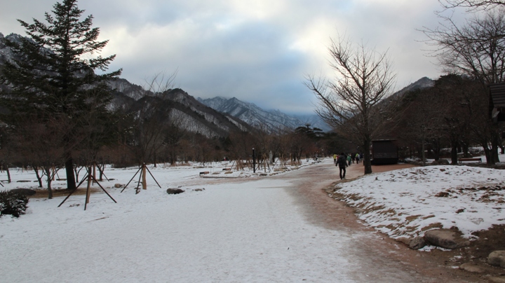 玩 瘋 韓 國 賞 雪 五 日 遊 ( 第 一、二 日 )