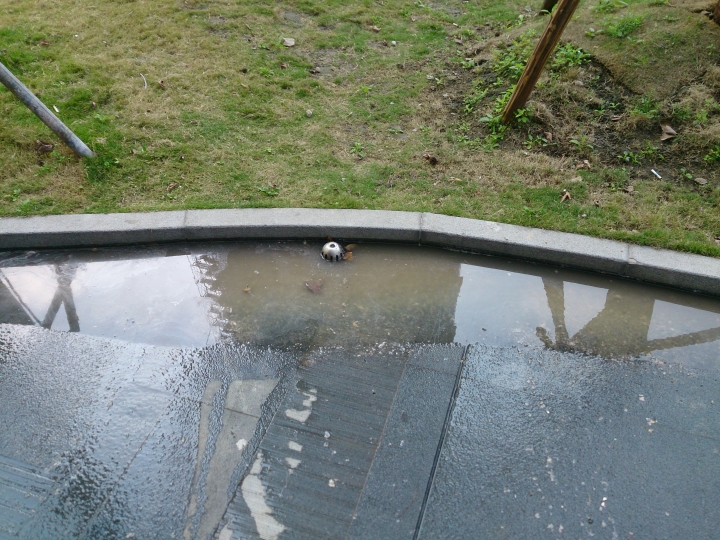 新莊頭前的新建案，排水孔冒水多日，工務所拖延未處理~求助大大援教