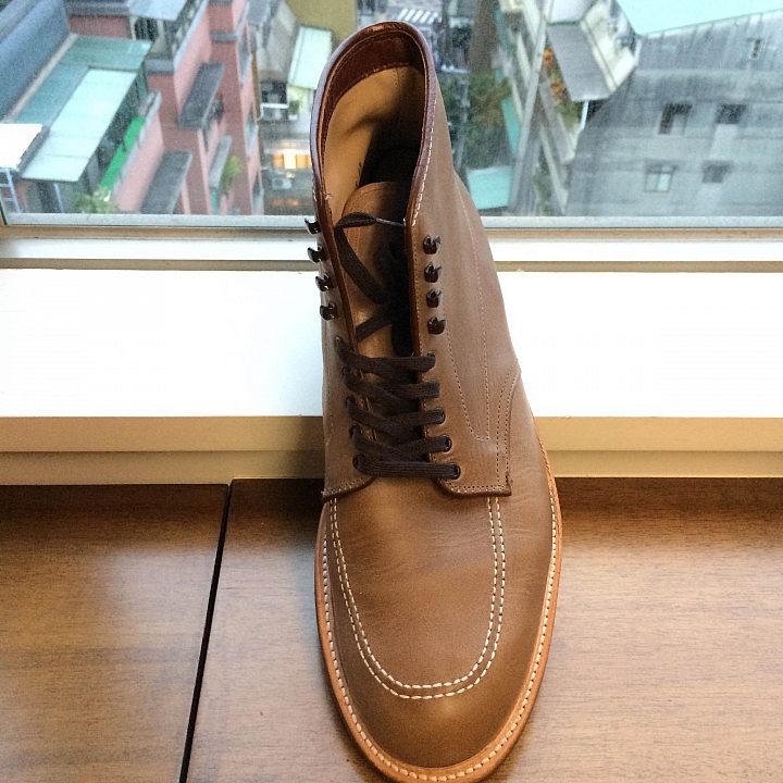 難以抉擇，Alden Indy Boots